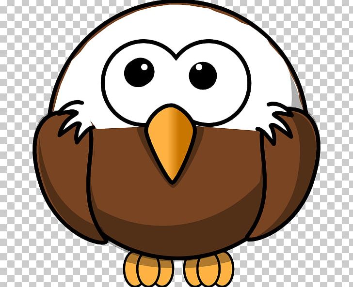 Bald Eagle PNG, Clipart, Art, Artwork, Bald Eagle, Beak, Bird Free PNG Download