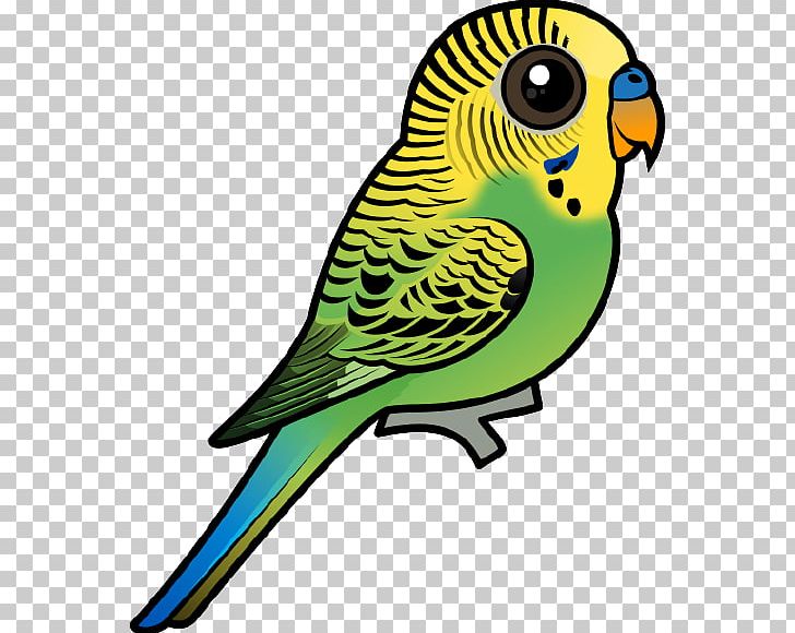 Budgerigar Bird Parrot Parakeet PNG, Clipart, Anatidae, Animals, Artwork, Beak, Bird Free PNG Download