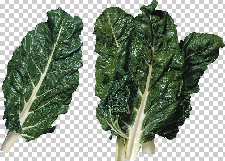 Lettuce Sandwich Taco Wrap Romaine Lettuce PNG, Clipart, Beetroot, Cabbage, Chard, Choy Sum, Collard Greens Free PNG Download