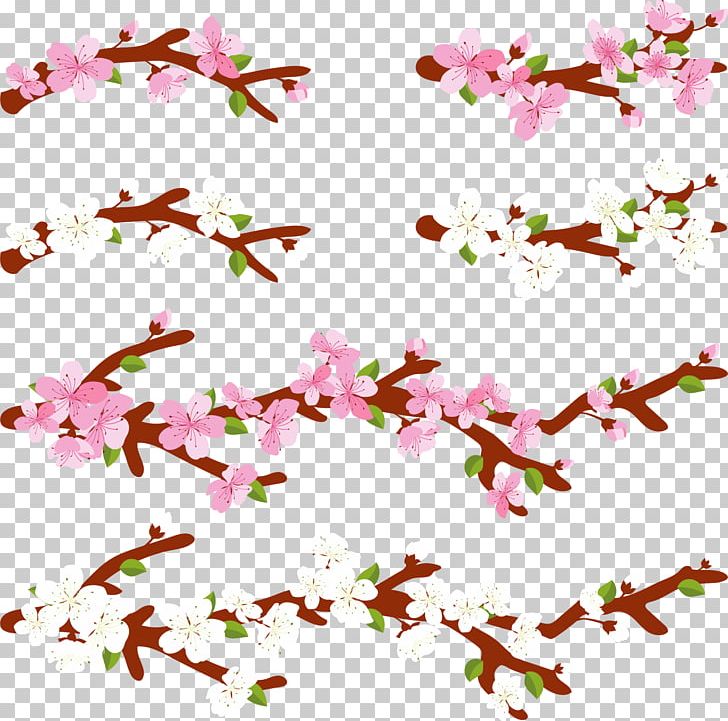 National Cherry Blossom Festival Pink PNG, Clipart, Blossom, Blossoms, Blossoms Vector, Border, Branch Free PNG Download