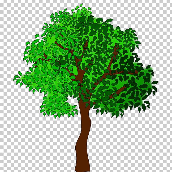 Summer Tree PNG, Clipart, Autumn, Blog, Branch, Cartoon, Clip Art Free PNG Download