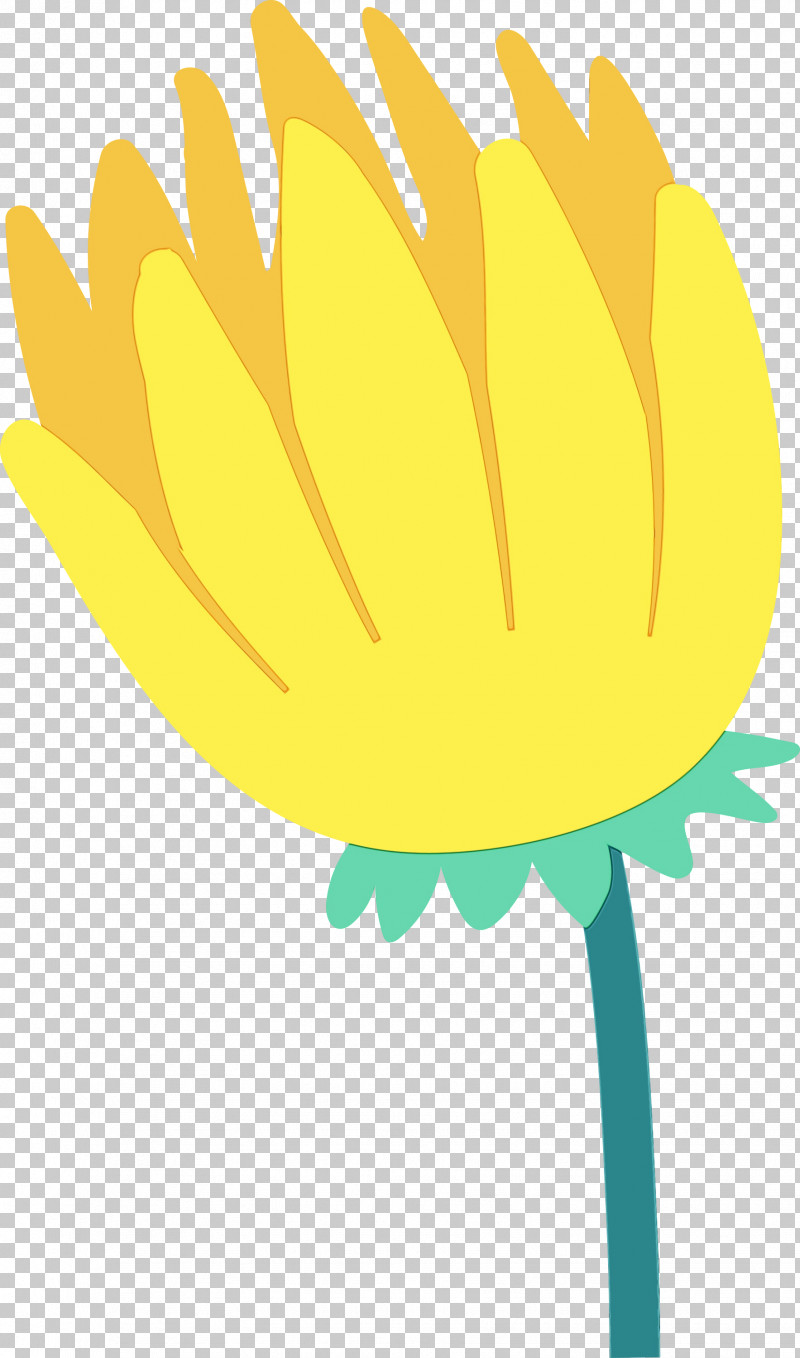 Sunflower PNG, Clipart, Biology, Brazil Culture, Brazil Elements, Commodity, Fruit Free PNG Download