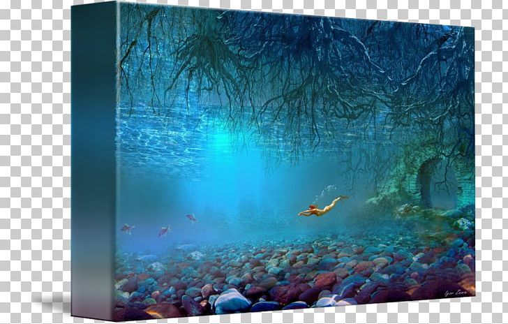 Coral Reef Fish Water Aquariums Ecosystem PNG, Clipart, Aqua, Aquarium, Aquariums, Biology, Computer Free PNG Download