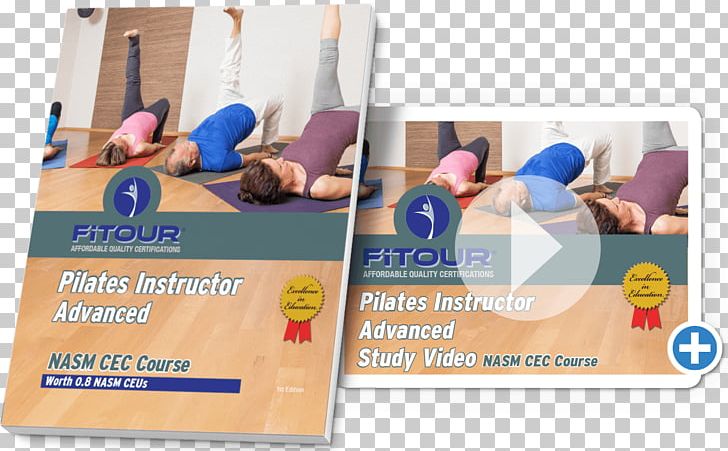 National Academy Of Sports Medicine Physical Fitness Exercise Course Teacher PNG, Clipart, Course, Education, Education Science, Exercise, Joint Free PNG Download