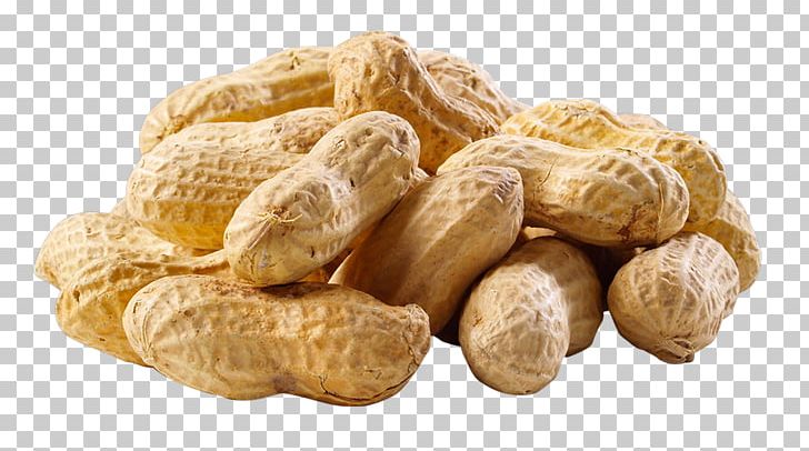 Birdsong Peanuts Tree Nut Allergy Legume PNG, Clipart,  Free PNG Download