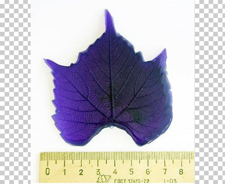 Leaf Purple PNG, Clipart, Leaf, Plant, Purple, Violet Free PNG Download