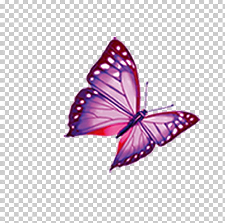 Mimpi Butterfly Computer Keyboard Diamant Koninkrijk Koninkrijk BlueBlock PNG, Clipart, Android, Brush Footed Butterfly, Butterflies, Butterfly Fairy, Butterfly Group Free PNG Download