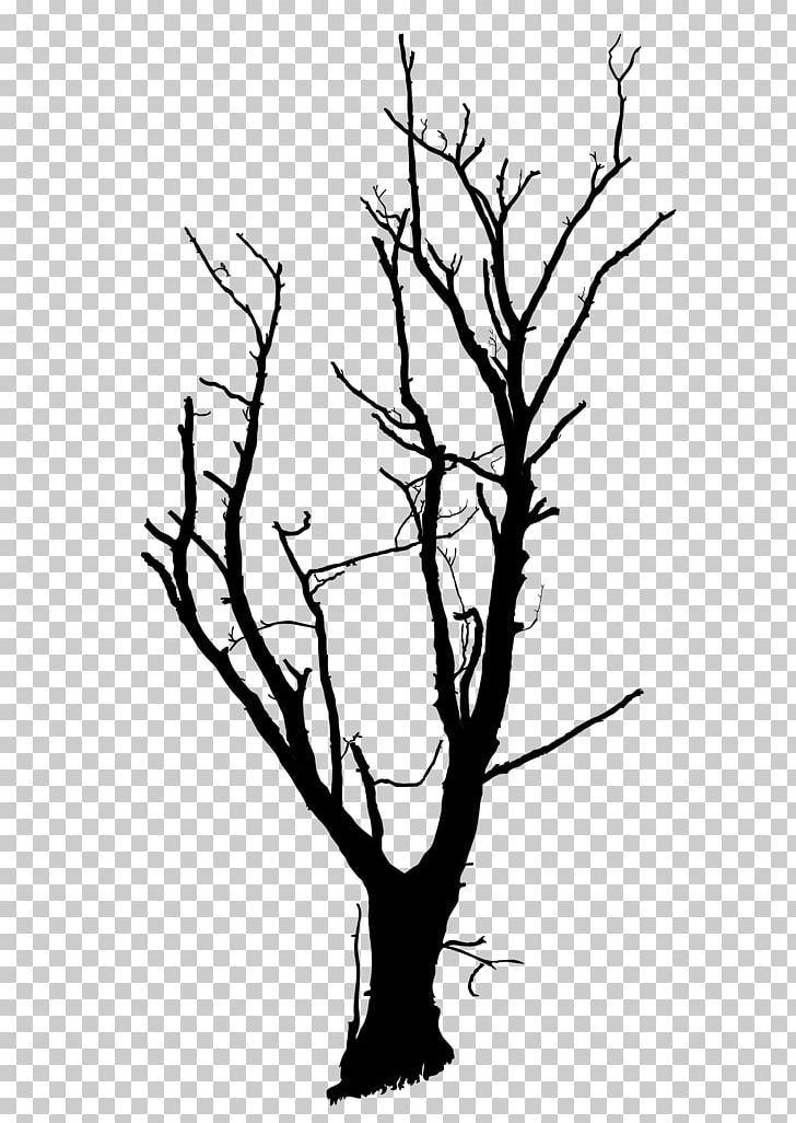 Tree Drawing PNG, Clipart, Artwork, Black And White, Branch, Digital Image, Drawing Free PNG Download