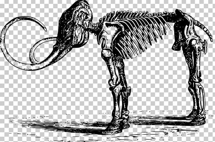 Woolly Mammoth Human Skeleton Dinosaur PNG, Clipart, Art, Black And White, Carnivoran, Fictional Character, Horse Free PNG Download