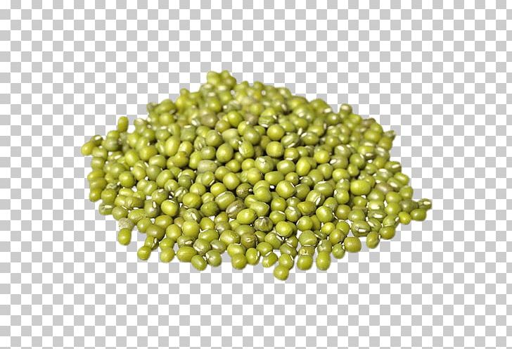 Mung Bean Organic Food Chinese Cuisine Dal Sprouting PNG, Clipart, Bean, Chinese Cuisine, Commodity, Cooking, Cowpea Free PNG Download