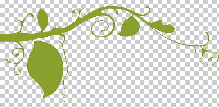 Vine Plant PNG, Clipart, Alternative Medicine, Branch, Brand, Computer Wallpaper, Download Free PNG Download