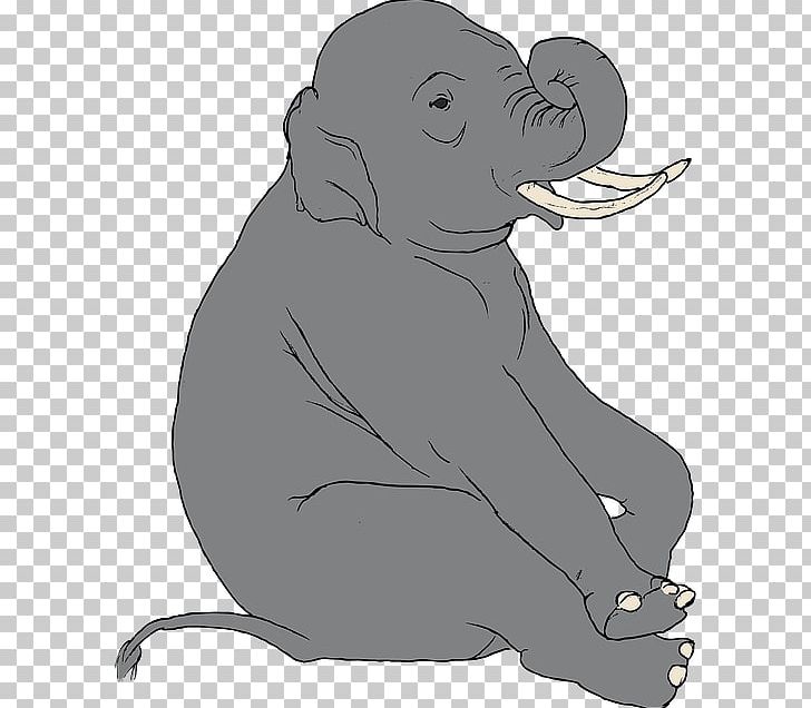Asian Elephant Elephantidae PNG, Clipart, Asian Elephant, Black And White, Carnivoran, Dog Like Mammal, Download Free PNG Download