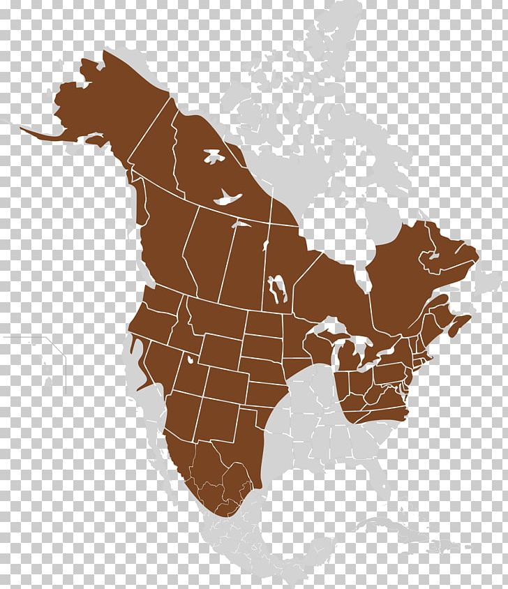 United States Of America Canada Blank Map World Map PNG, Clipart,  Free PNG Download
