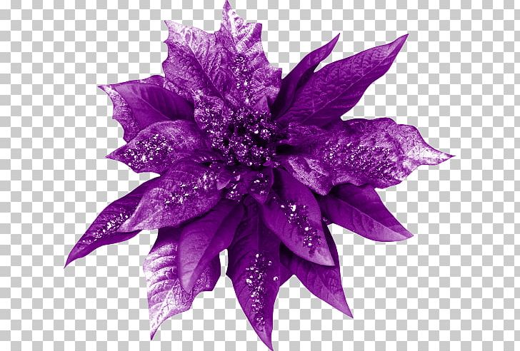 Violet Cut Flowers Color PNG, Clipart, Art, Color, Cut Flowers, Deco, Decorative Arts Free PNG Download
