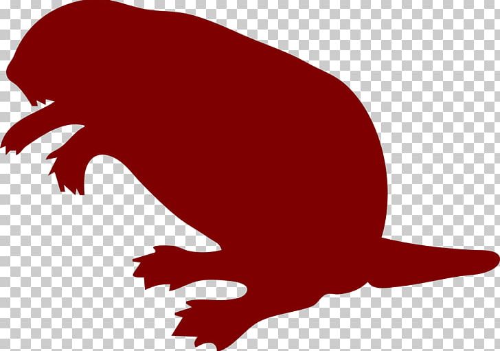 Beaver Computer Icons PNG, Clipart, Animals, Artwork, Beak, Beaver, Bird Free PNG Download