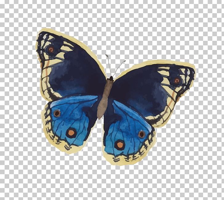 Brush-footed Butterflies Butterfly Shades Of Purple Blue PNG, Clipart, Arthropod, Azure, Blue, Brush Footed Butterfly, Butterfly Free PNG Download