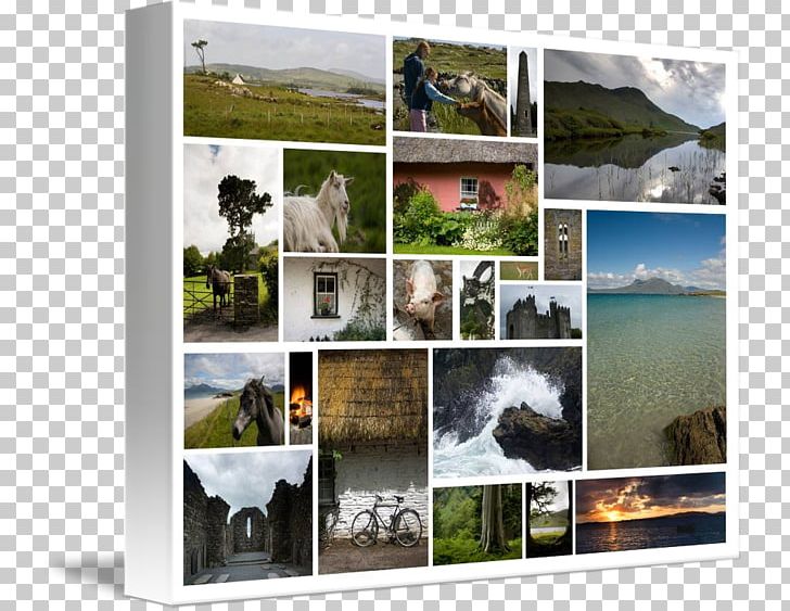 Ireland Window Frames Collage Tourism PNG, Clipart, Collage, Ireland, Others, Photograph Album, Photographic Paper Free PNG Download