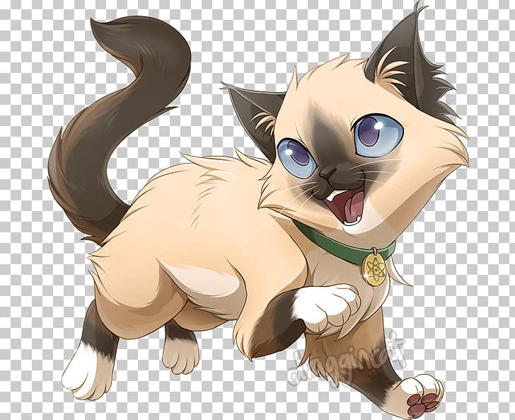 Kitten Ragdoll Whiskers Drawing Tail PNG, Clipart, Animal, Animals, Anime, Art, Canidae Free PNG Download