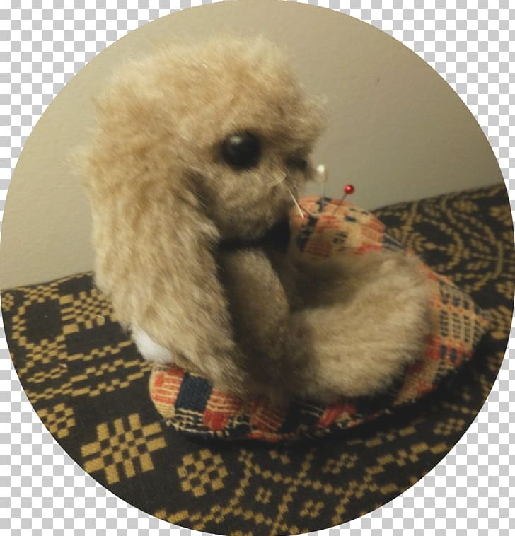 Miniature Poodle Toy Poodle Puppy Dog Breed PNG, Clipart, Breed, Carnivoran, Companion Dog, Crossbreed, Dog Free PNG Download