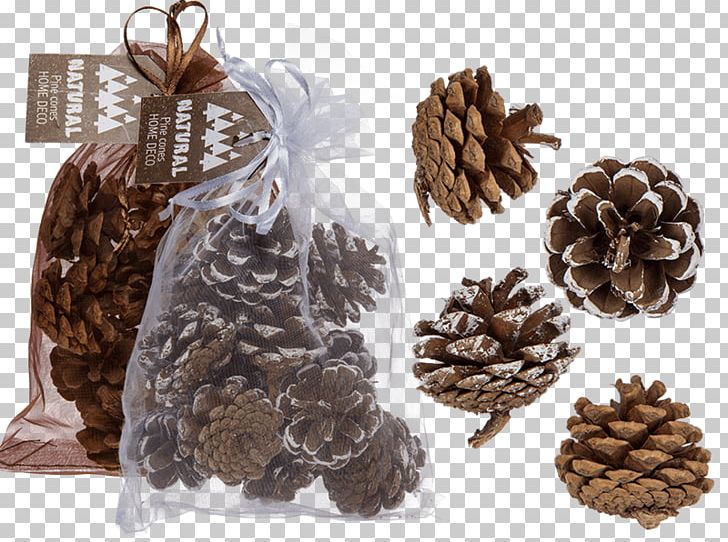 Pine Conifer Cone Christmas Day Gift Spruce PNG, Clipart, Christmas Day, Christmas Ornament, Christmas Tree, Cone, Conifer Free PNG Download