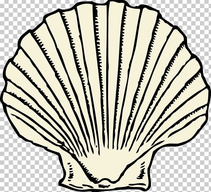 Seashell Clam Invertebrate PNG, Clipart, Animals, Art, Artwork, Black And White, Clam Free PNG Download