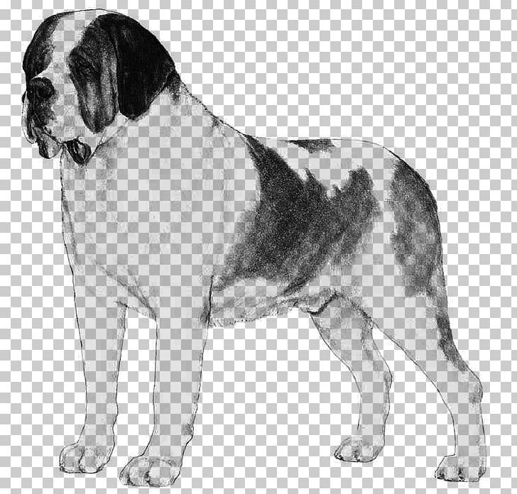 St. Bernard Dobermann Standard Schnauzer Great Dane Giant Schnauzer PNG, Clipart, Ancient Dog Breeds, Black And White, Breed, Cane Corso, Carnivoran Free PNG Download