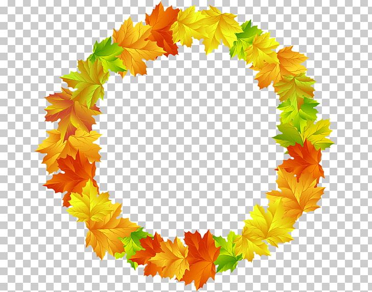 Autumn Leaf Color Autumn Leaf Color PNG, Clipart, Autumn, Autumn Leaf Color, Floral Design, Flower, Leaf Free PNG Download