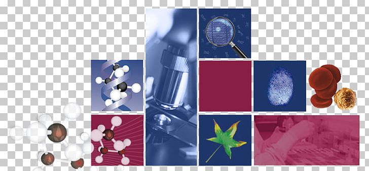 Medical Diagnosis In Vitro Diagnostics Clinical Laboratory Methods Disease PNG, Clipart, Biology, Biotechnology, Brand, Catalog, Clinical Pathology Free PNG Download