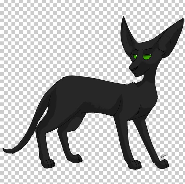 Whiskers Dog Cat Red Fox PNG, Clipart, Animals, Carnivoran, Cat, Cat Like Mammal, Character Free PNG Download