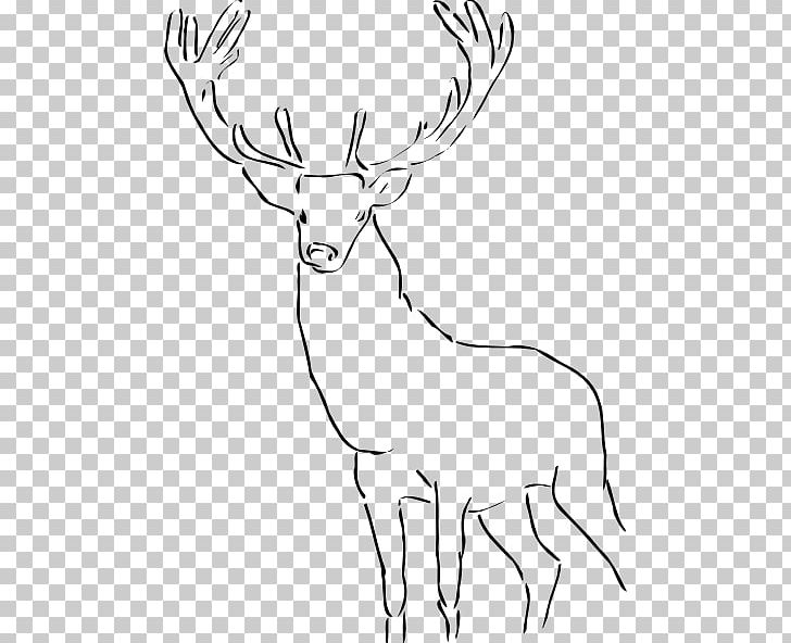 Deer Drawing PNG, Clipart, Antler, Art, Black And White, Cattle Like Mammal, Computer Icons Free PNG Download