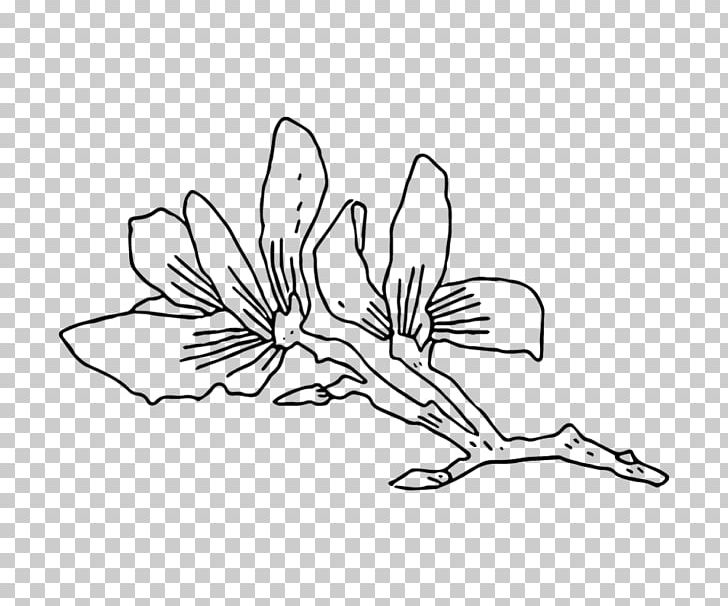 Floral Design Drawing Visual Arts PNG, Clipart, Arm, Art, Artwork, Black, Black And White Free PNG Download