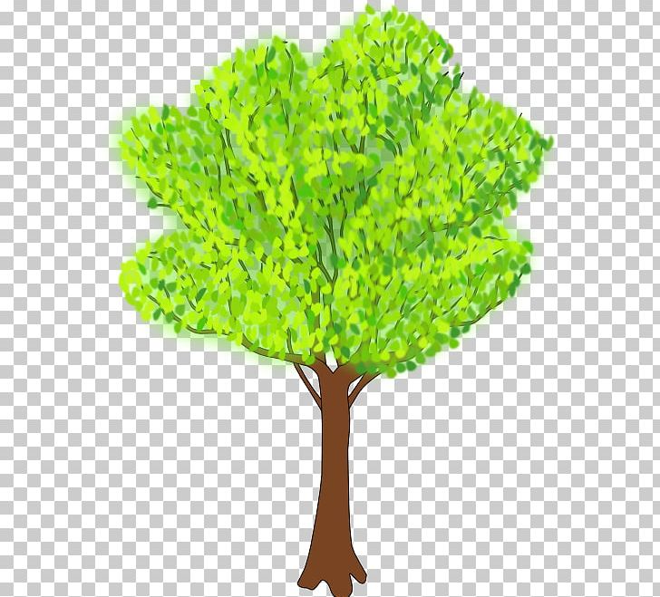 Tree PNG, Clipart, Branch, Computer Icons, Document, Download, Drawing Free PNG Download