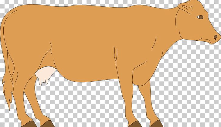 Cattle Open Drawing Graphics PNG, Clipart, Animal Figure, Big Cats, Bull, Calf, Carnivoran Free PNG Download