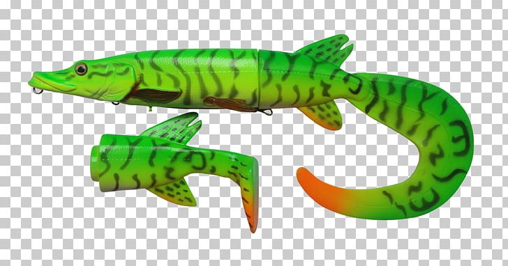 Northern Pike Fishing Baits & Lures Muskellunge PNG, Clipart, Animal Source Foods, Bait, Fauna, Fish, Fish Hook Free PNG Download