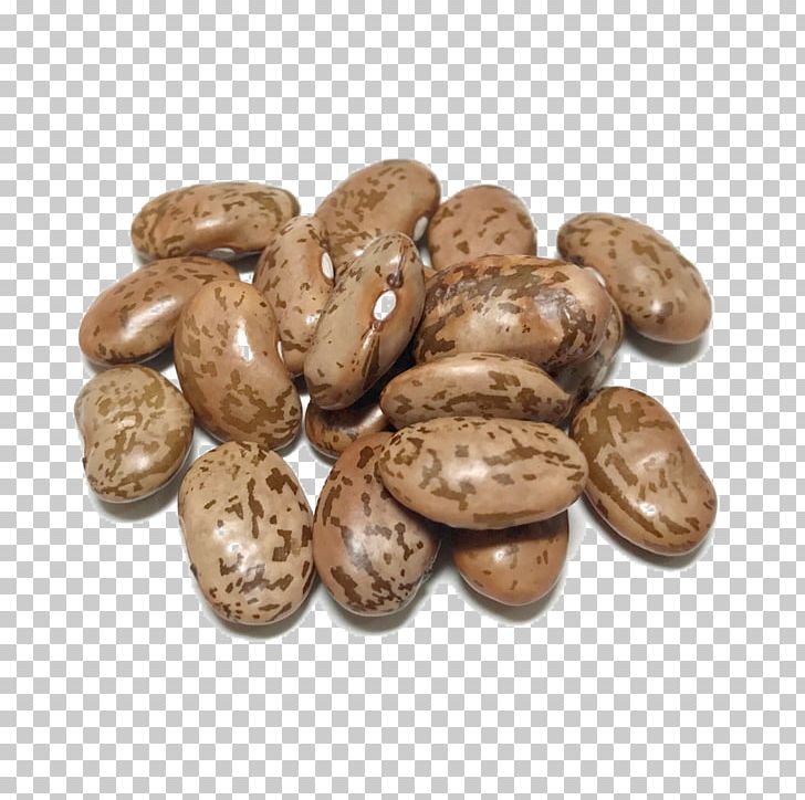 Nut Commodity PNG, Clipart, Beans, Commodity, Dry, Ingredient, Nut Free PNG Download