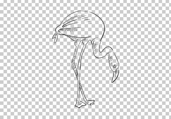 Bird Drawing Flamenco PNG, Clipart, Animals, Artwork, Beak, Bird, Black And White Free PNG Download