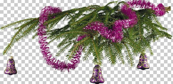 New Year Tree Holiday Christmas Ornament PNG, Clipart, Ansichtkaart, Branch, Christmas, Christmas Card, Christmas Ornament Free PNG Download