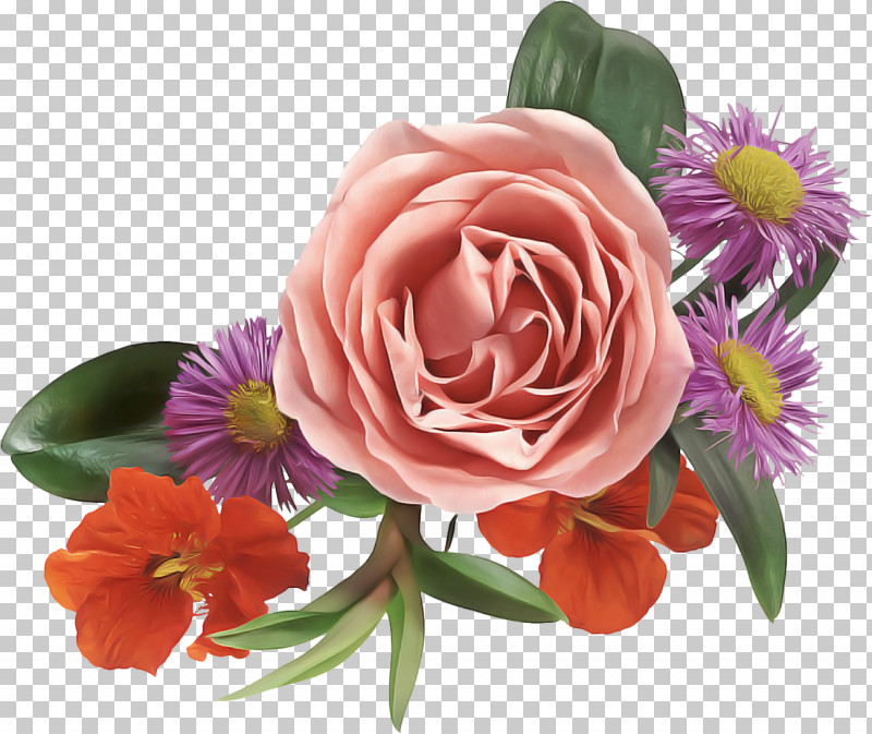 Garden Roses PNG, Clipart, Artificial Flower, Bouquet, Camellia, Cut Flowers, Floral Design Free PNG Download