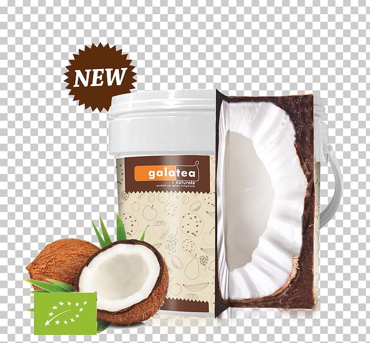 Coconut Water Nata De Coco Coconut Oil Food PNG, Clipart, Coconut, Coconut Cream, Coconut Oil, Coconut Water, Endosperm Free PNG Download