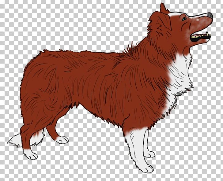 Dog Breed Icelandic Sheepdog German Shepherd Puppy Poodle PNG, Clipart, American Kennel Club, Animals, Breed, Breed Group Dog, Carnivoran Free PNG Download