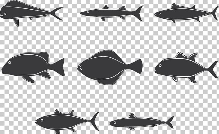 Fishing PNG, Clipart, Adobe Illustrator, Aircraft, Anglerfish, Animals, Aquarium Fish Free PNG Download