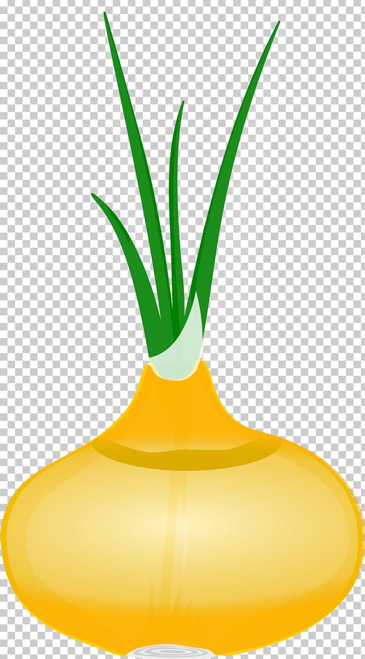 Hot Pot Onion PNG, Clipart, Allium Fistulosum, Commodity, Download, Euclidean Vector, Flower Free PNG Download