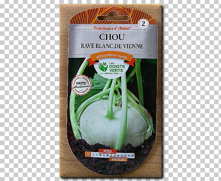 Kohlrabi Vegetable Acephala Group Vinaigrette Lbiocompost Sarl PNG, Clipart, Acephala Group, Artichoke, Brassica Oleracea, Cabbages, Chou Chou Free PNG Download