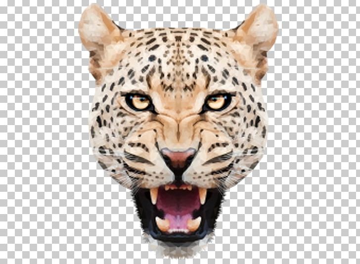 Leopard Jaguar Felidae Tiger PNG, Clipart, 4k Resolution, Angry Man, Animals, Back, Big Cats Free PNG Download