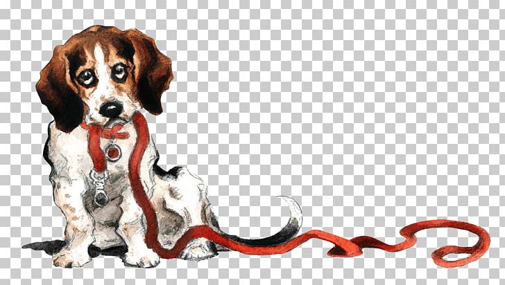 Dog Breed Beagle Puppy Pet Sitting American Eskimo Dog PNG, Clipart, American Eskimo Dog, Animals, Beagle, Carnivoran, Companion Dog Free PNG Download