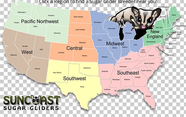 World Map Sugar Glider Web Mapping PNG, Clipart, Area, Computer Software, Geographic Information System, Location, Map Free PNG Download