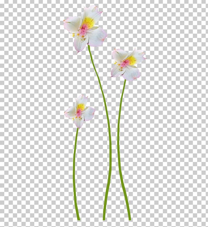Floral Design Flower PNG, Clipart, Creative, Decoration Image, Floral, Flowerpot, Flowers Free PNG Download
