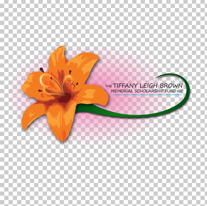 Petal Font PNG, Clipart, Flower, Judd Brown Designs Inc, Orange, Others, Petal Free PNG Download