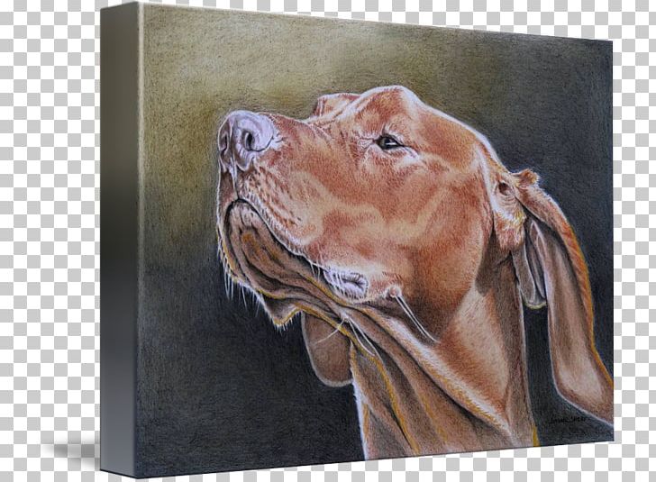 Vizsla Weimaraner Painting Gallery Wrap Canvas PNG, Clipart, Art, Canvas, Carnivoran, Dog, Dog Like Mammal Free PNG Download