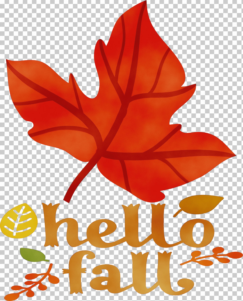 Flower Maple Leaf / M Leaf Petal Tree PNG, Clipart, Autumn, Biology, Fall, Flower, Hello Fall Free PNG Download